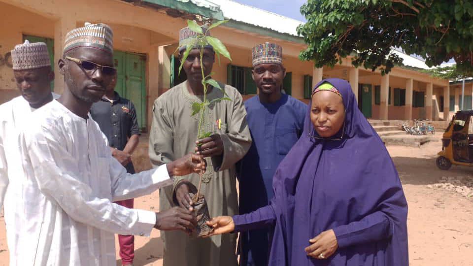 Indiscriminate  Tree Felling, Responsible For Flood, Erosion, Others, ZAWFOG Warns