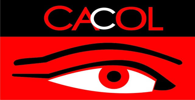 CACOL Condemns 92 MDA’s Over Flagrant Disregard Of Anti-Curruption Mandate