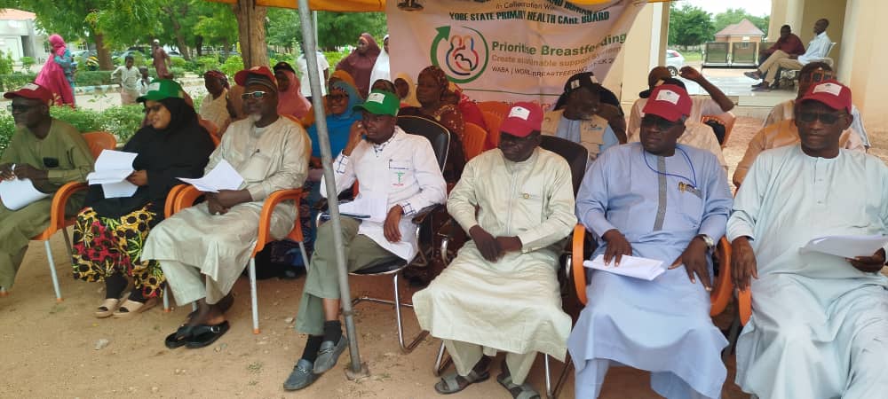 Exclusive Breast Feeding Still A Concern In Yobe, Primary Healthcare Board Boss