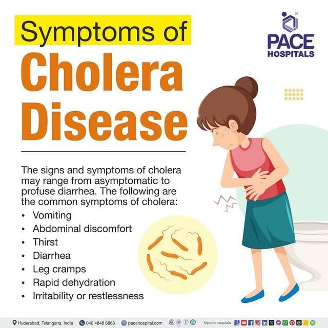 NEWSAN Sensitises Zamfara Communities On Cholera Outbreak