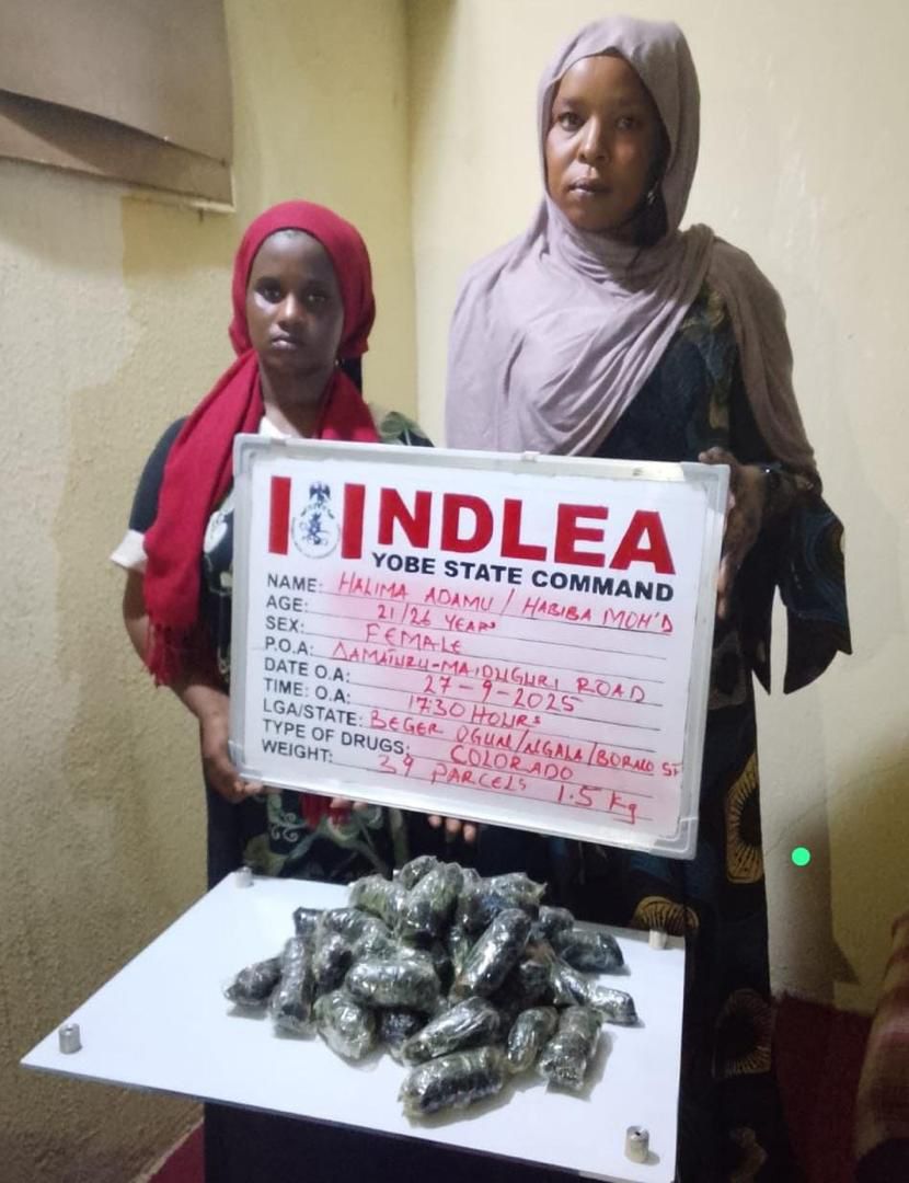 NDLEA Arrests 2 Bandit’s Female Suppliers Of Illicit Drugs